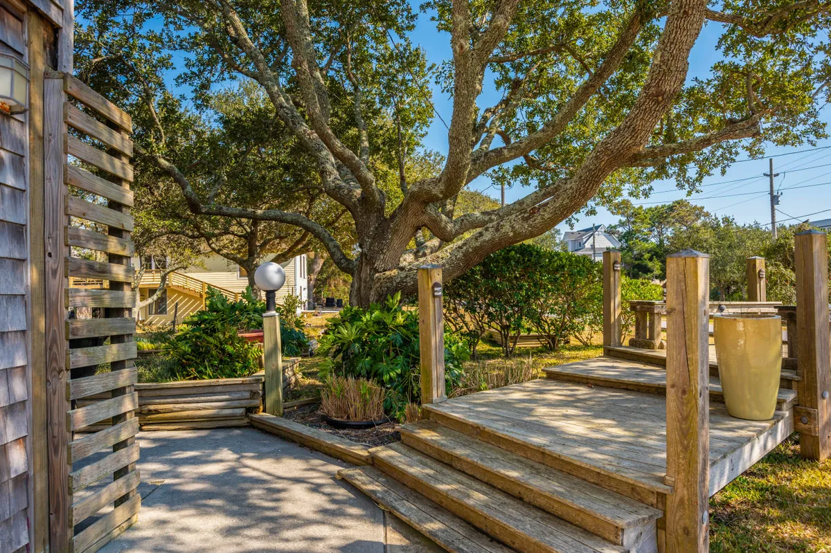 A tranquil exterior scene featuring a large tree providing shade over wooden steps. The area is surrounded by landscaped greenery and a decorative pot, suggesting an inviting space for relaxation or social gatherings. The setting feels open, peaceful, and connected to nature, with ample space for outdoor activities.